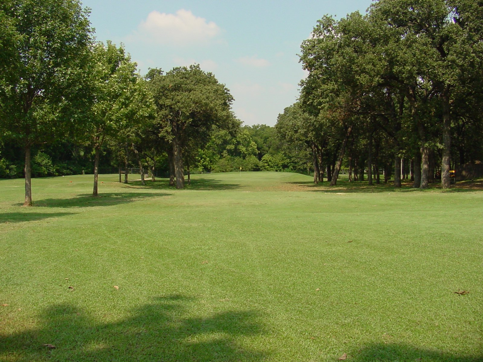 Fairway on golf course
