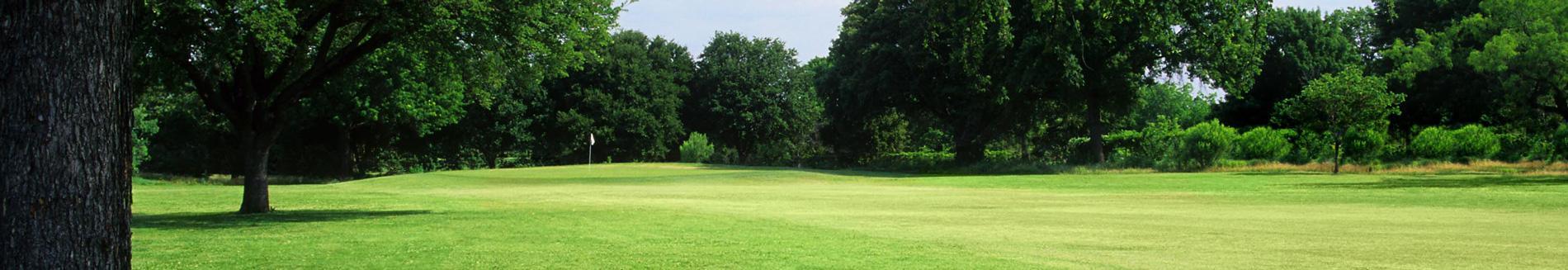 Image of golf ball on tee on grass.