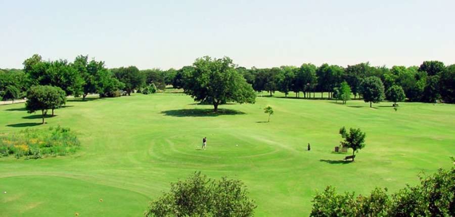 Trees on golf course